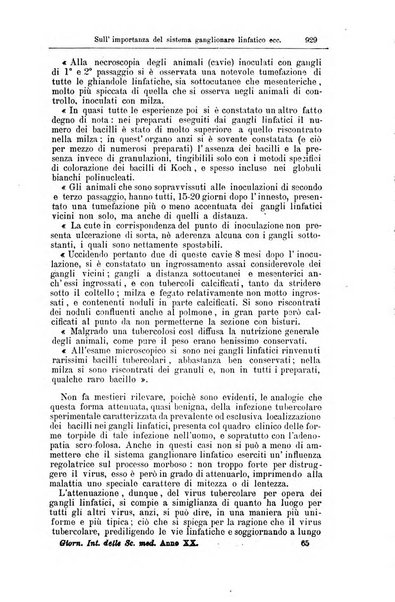 Giornale internazionale delle scienze mediche