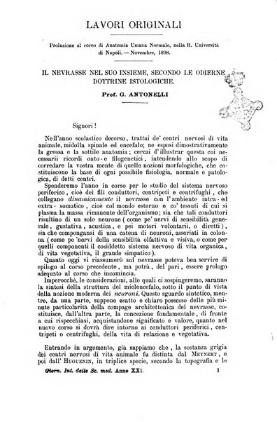 Giornale internazionale delle scienze mediche