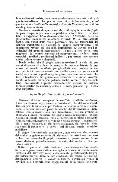 Giornale internazionale delle scienze mediche