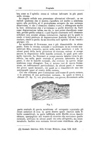 Giornale internazionale delle scienze mediche