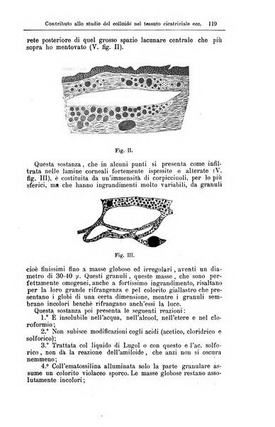 Giornale internazionale delle scienze mediche