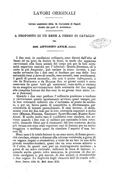 Giornale internazionale delle scienze mediche