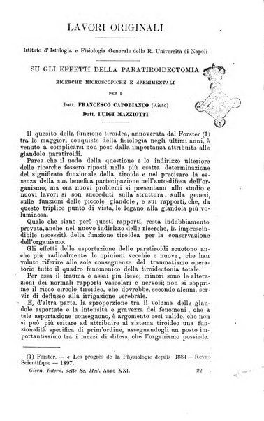 Giornale internazionale delle scienze mediche