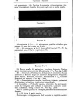 giornale/NAP0021576/1899/unico/00000404