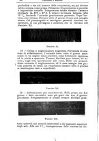 giornale/NAP0021576/1899/unico/00000450