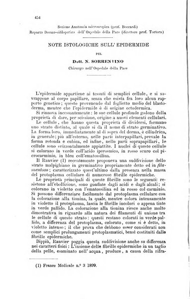 Giornale internazionale delle scienze mediche