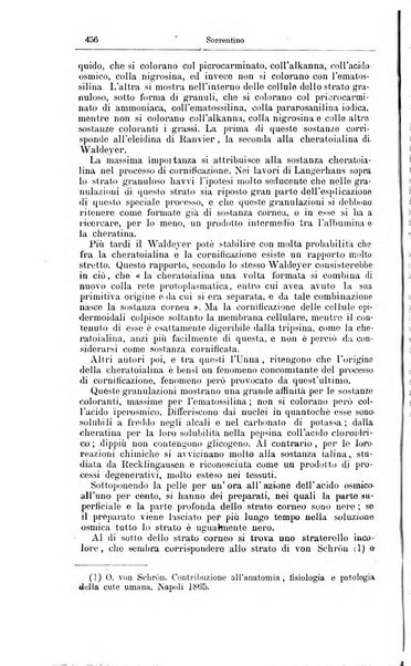 Giornale internazionale delle scienze mediche