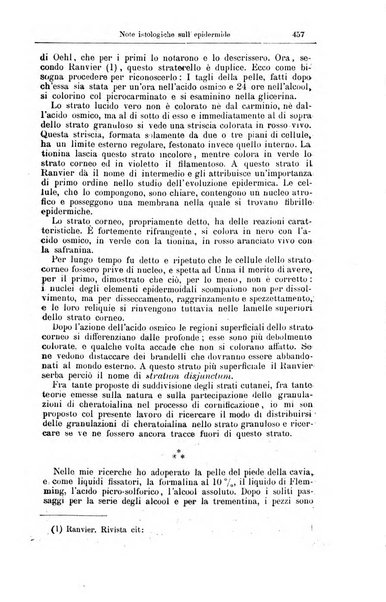 Giornale internazionale delle scienze mediche