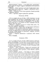 giornale/NAP0021576/1901/unico/00000258