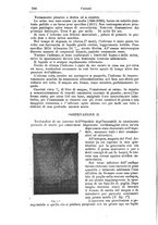 giornale/NAP0021576/1901/unico/00000294