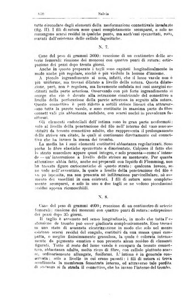 Giornale internazionale delle scienze mediche