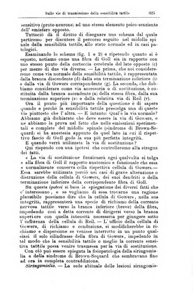 Giornale internazionale delle scienze mediche