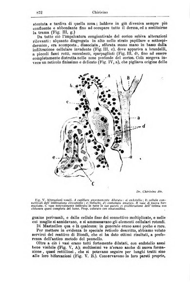 Giornale internazionale delle scienze mediche