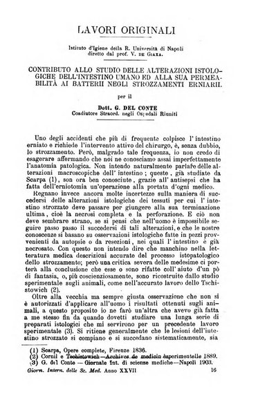 Giornale internazionale delle scienze mediche