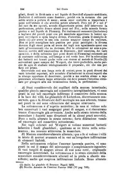 Giornale internazionale delle scienze mediche