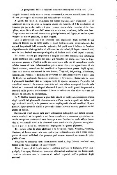 Giornale internazionale delle scienze mediche