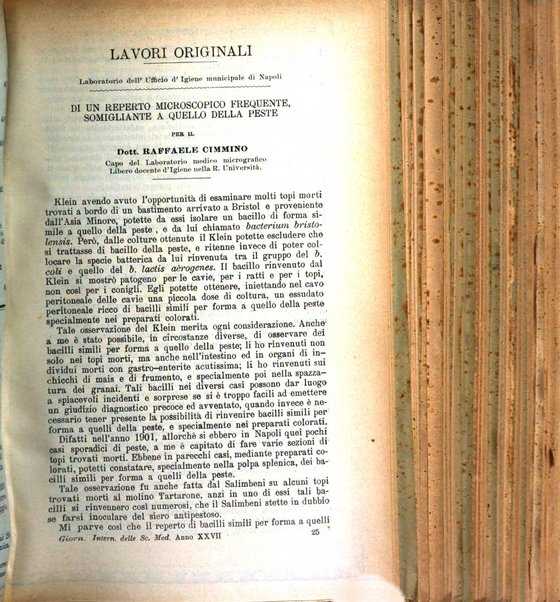 Giornale internazionale delle scienze mediche