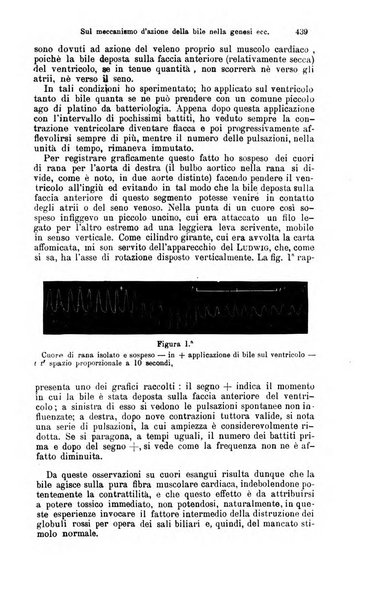 Giornale internazionale delle scienze mediche