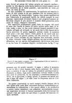 giornale/NAP0021576/1905/unico/00000495