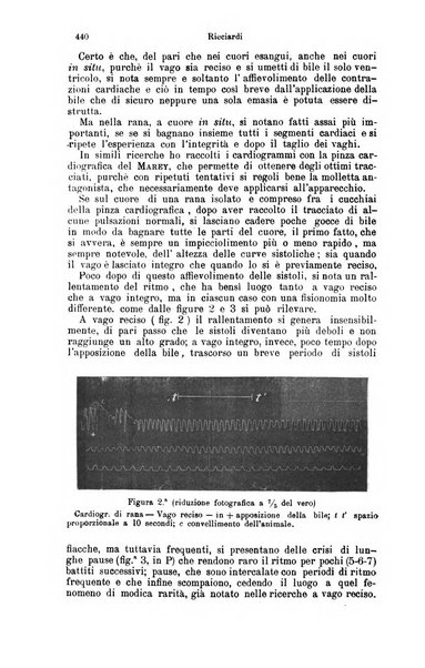 Giornale internazionale delle scienze mediche