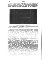 giornale/NAP0021576/1905/unico/00000502