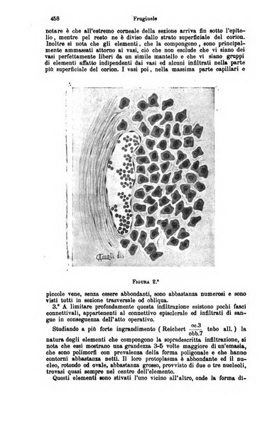 Giornale internazionale delle scienze mediche