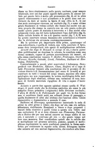 Giornale internazionale delle scienze mediche