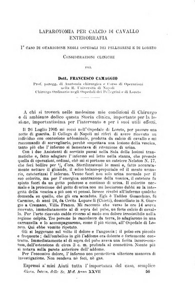 Giornale internazionale delle scienze mediche