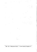 giornale/NAP0021576/1907/unico/00000008