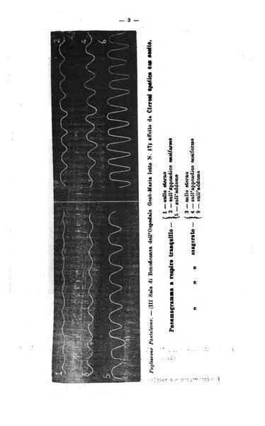 Giornale internazionale delle scienze mediche