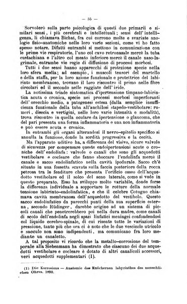 Giornale internazionale delle scienze mediche