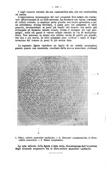 Giornale internazionale delle scienze mediche