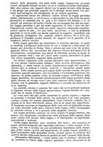 giornale/NAP0021576/1907/unico/00000325