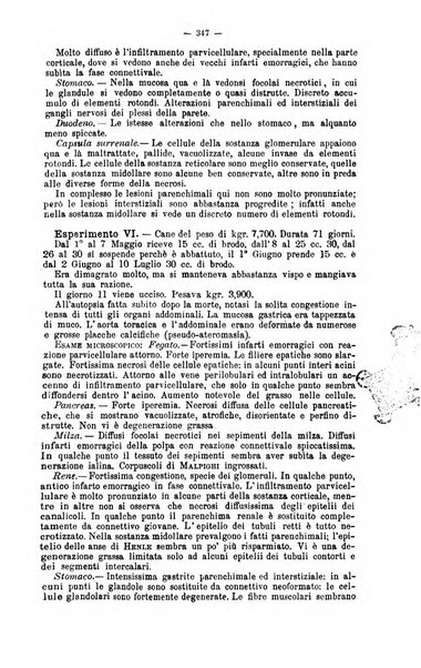 Giornale internazionale delle scienze mediche