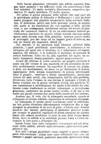 giornale/NAP0021576/1907/unico/00000553