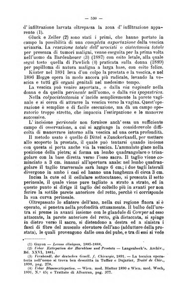 Giornale internazionale delle scienze mediche