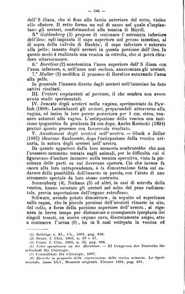 Giornale internazionale delle scienze mediche