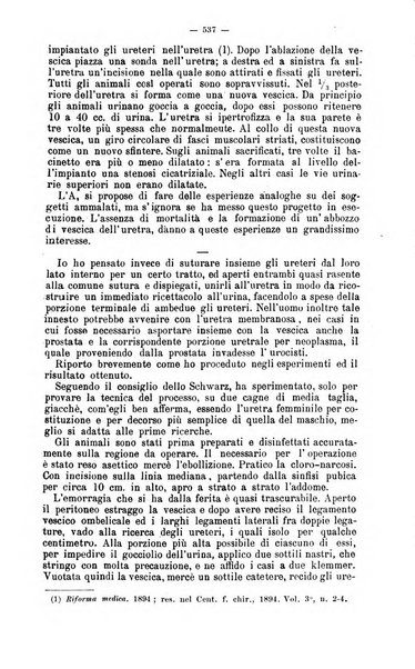 Giornale internazionale delle scienze mediche