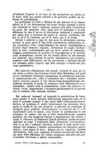 Giornale internazionale delle scienze mediche