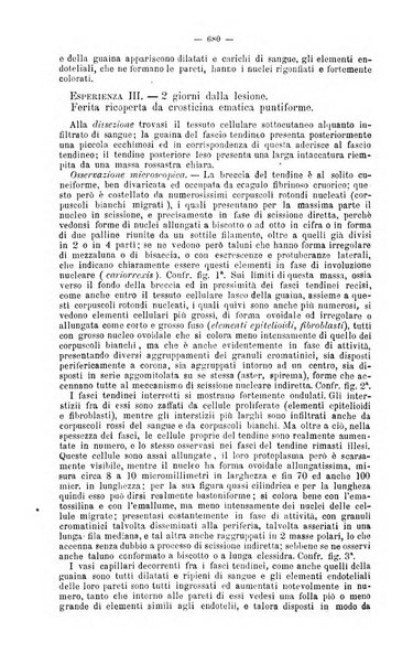 Giornale internazionale delle scienze mediche