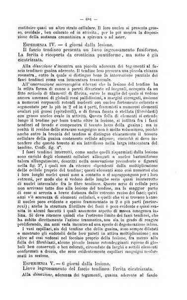 Giornale internazionale delle scienze mediche