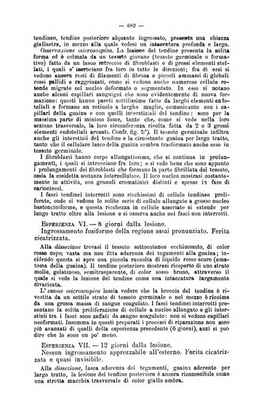 Giornale internazionale delle scienze mediche