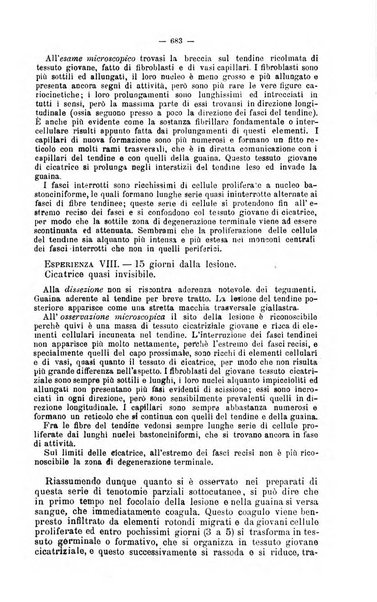 Giornale internazionale delle scienze mediche