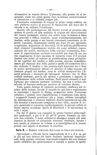 Giornale internazionale delle scienze mediche