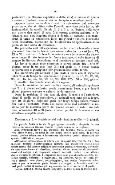 Giornale internazionale delle scienze mediche