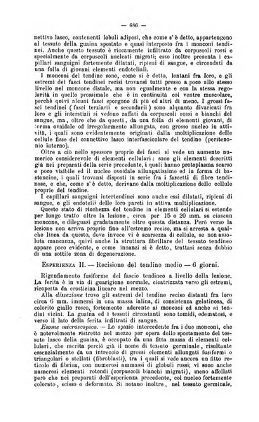 Giornale internazionale delle scienze mediche