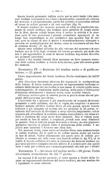 Giornale internazionale delle scienze mediche