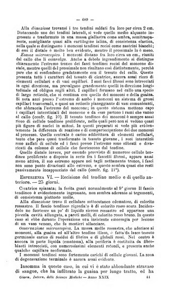 Giornale internazionale delle scienze mediche