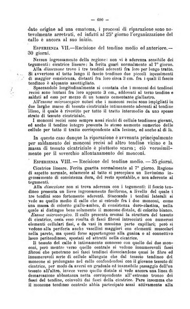 Giornale internazionale delle scienze mediche