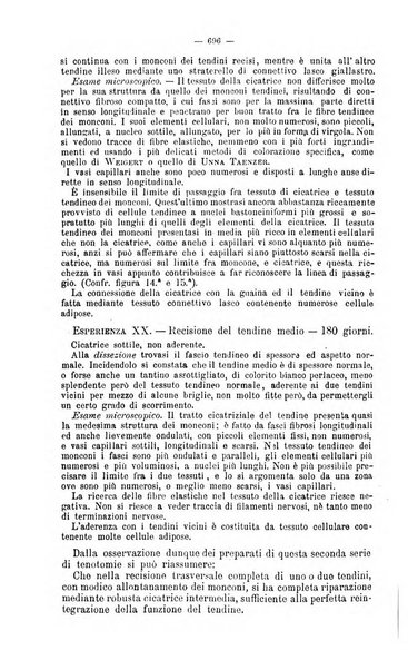 Giornale internazionale delle scienze mediche